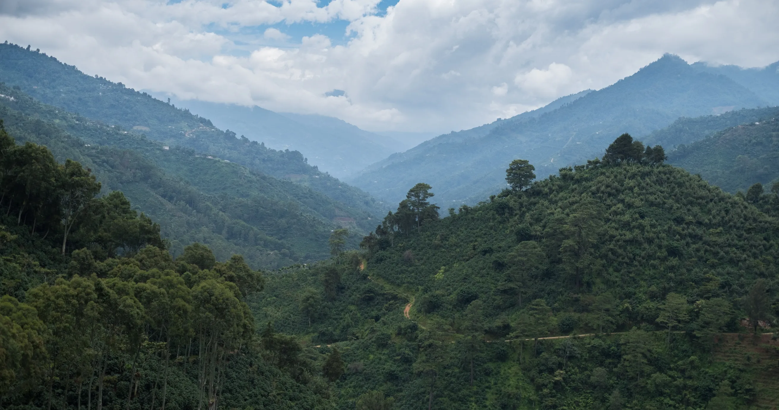 The Coffee Belt landscape in Guatemala