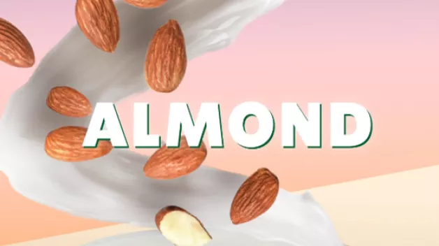 non-dairy