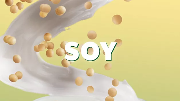 non-dairy