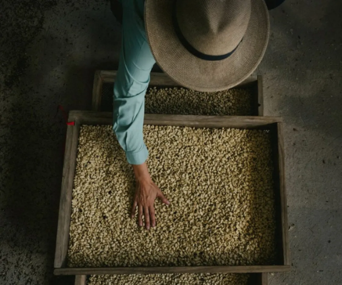 Coffee blending